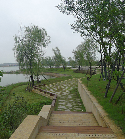 湖南长沙斑马湖湿地公园